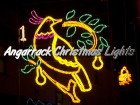 Angarrack Christmas Lights - 01 - Partridge in a Pear Tree